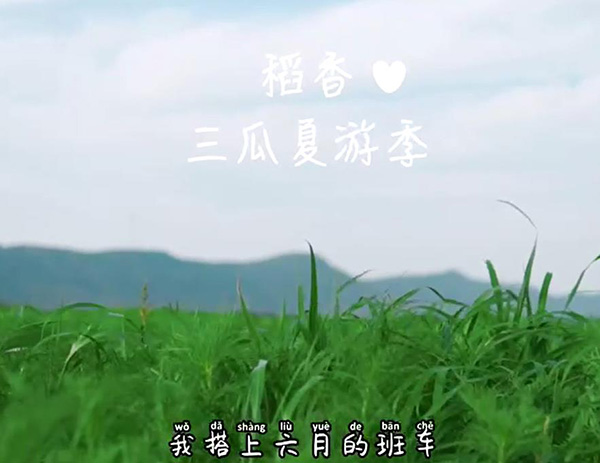 三瓜夏游记