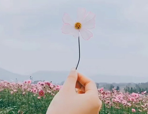 梦境花海