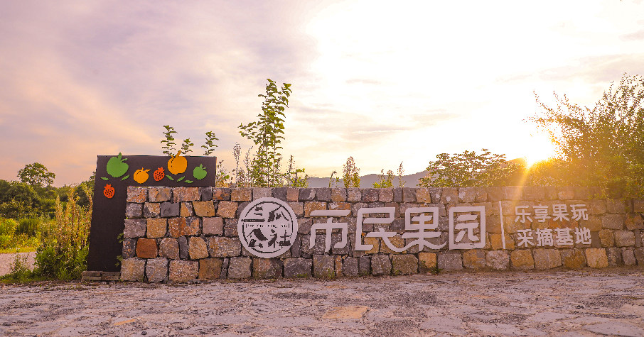 安徽人游安徽 | 来半汤，采摘一“夏”