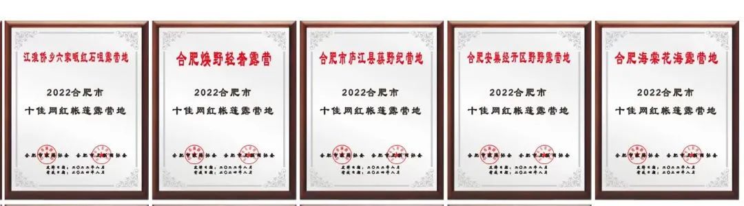 安徽人游安徽 | 野野露营地入选“2022合肥市十佳露营地”！