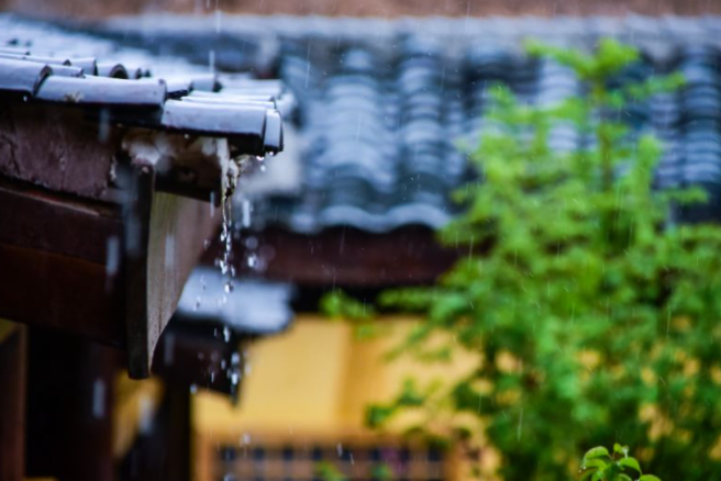 雨水丨万物清朗，绝胜好春光